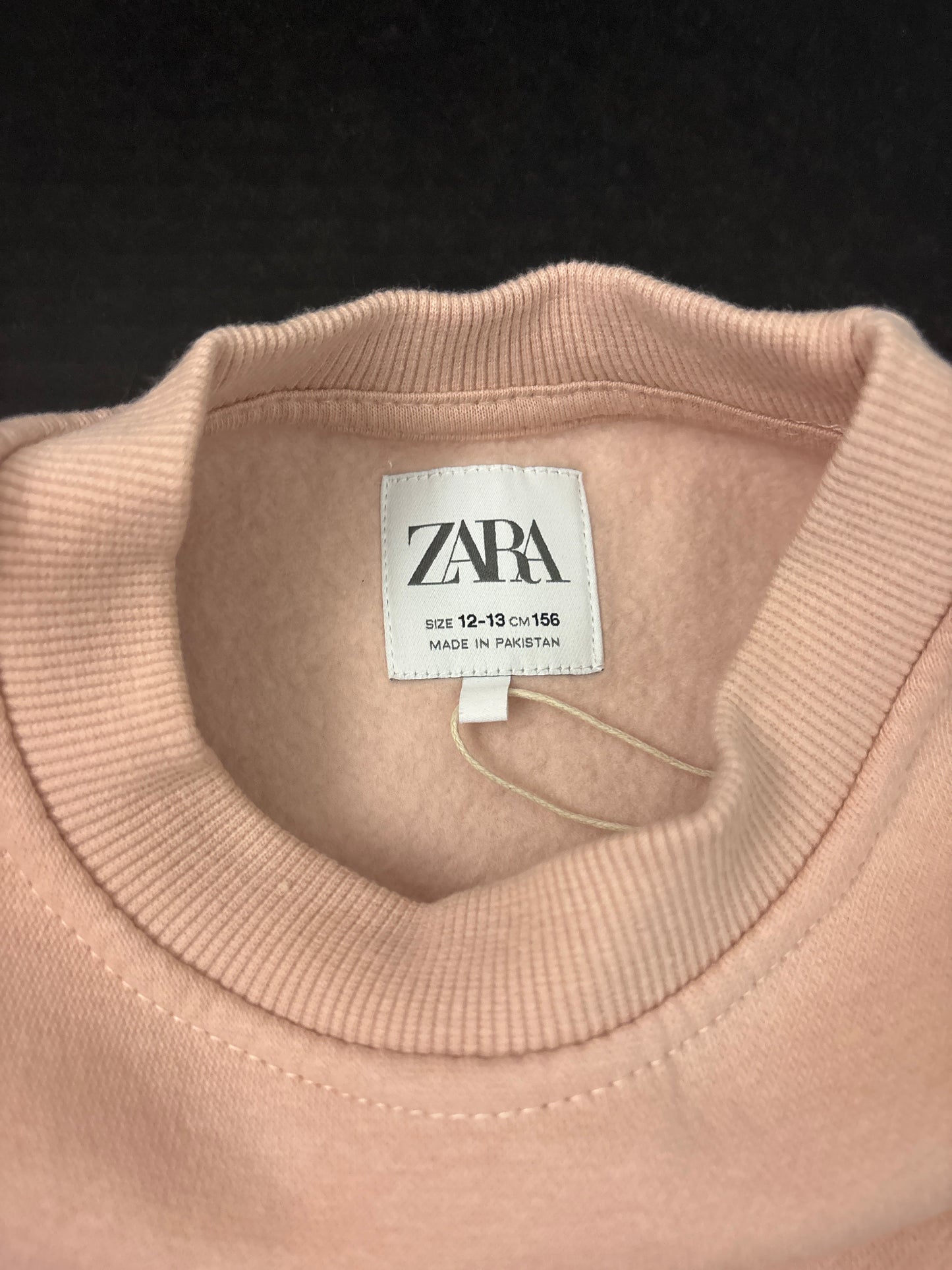 Blush rose Sweatshirt